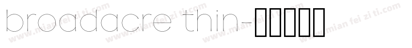 broadacre thin字体转换